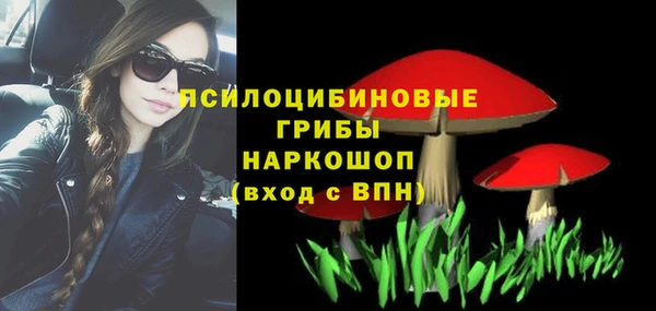 стафф Краснослободск