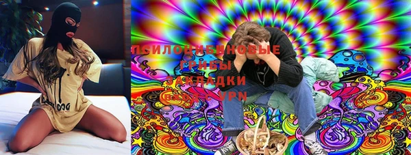стафф Краснослободск