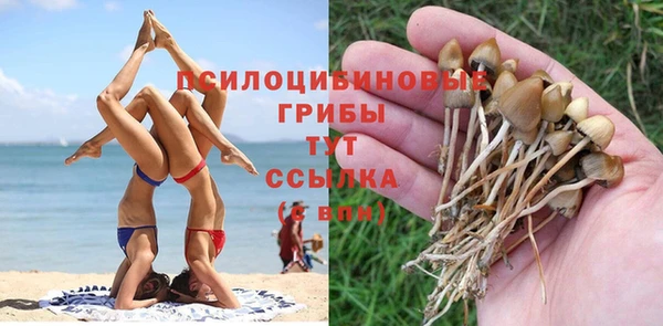 стафф Краснослободск