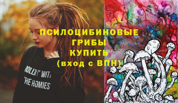 стафф Краснослободск