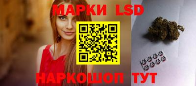 гидропоника Дубна