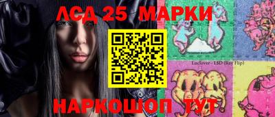 гидропоника Дубна