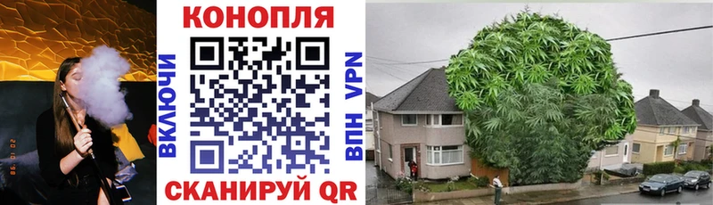 Каннабис MAZAR Казань