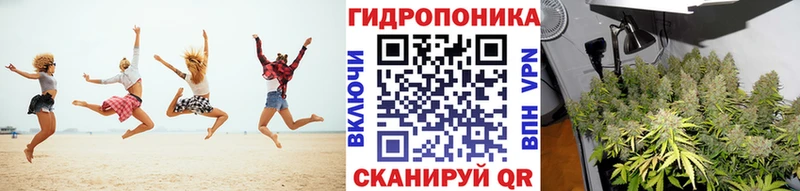 Каннабис семена Казань